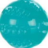 Trixie Mintfresh Bold Ø 6 cm - tandrensende bold med mintsmag