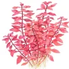 Tropica Akvarieplanter Tropica Akvarieplante i potte Ludwigia palustris Super Red
