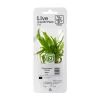 Tropica Akvarieplanter Tropica PCS Pot Microsorum pteropus Narrow x 3