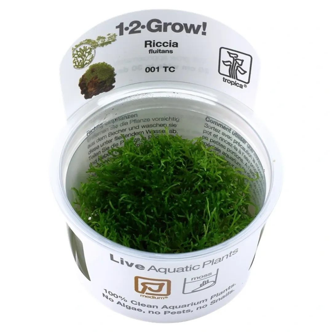 Tropica Akvarieplanter Tropica Riccia fluitans 1-2-GROW