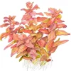 Tropica Akvarieplanter Tropica Rotala macrandra Japan 1-2-GROW x 3