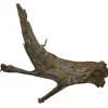 Dekoration til Akvarier og Terrarier Trærod (Mangrovetræ) XXL 60-80 cm