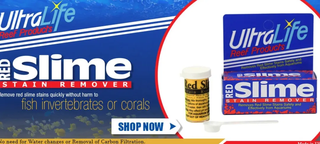 Ultralife Red Slime Remover af Cyanobakterier