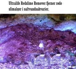 Ultralife Red Slime Remover af Cyanobakterier