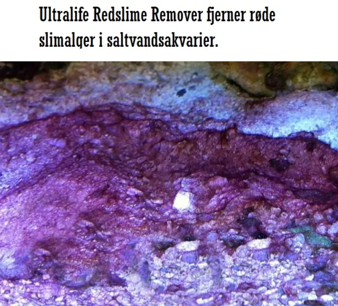 Ultralife Red Slime Remover af Cyanobakterier