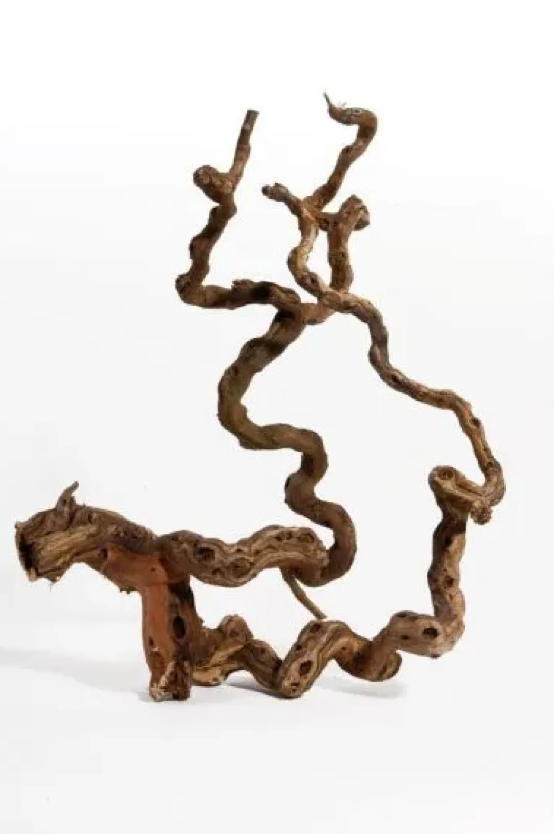 Hobby Vinrankerod 40-70 cm (Winewood)