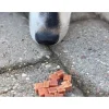 Woolf HundeSnacks og Kattesnack Woolf Hundesnack And Chunkies