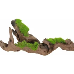 MiniZoo Zolux Kipouss Malaysia Root S With Live Plant Seeds